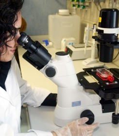 Una ricercatrice al microscopio