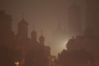 Mosca avvolta da una nube di fumo
