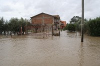 Piana del Sele (Salerno) - Alluvione nel salernitano, oltre 300