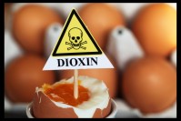 Germania: scandalo delle 'uova alla diossina'