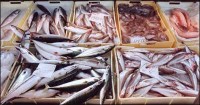 mercato del pesce
