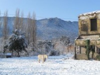 PN Circeo sotto la neve 2012 Feb 2012